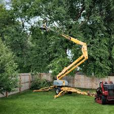 Best Grass Overseeding  in Denair, CA